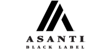 our wheel and tire brands (6) asanti black label